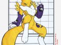 hentai anime porn (yiffy digimon) - furry renamon invites co.jpg